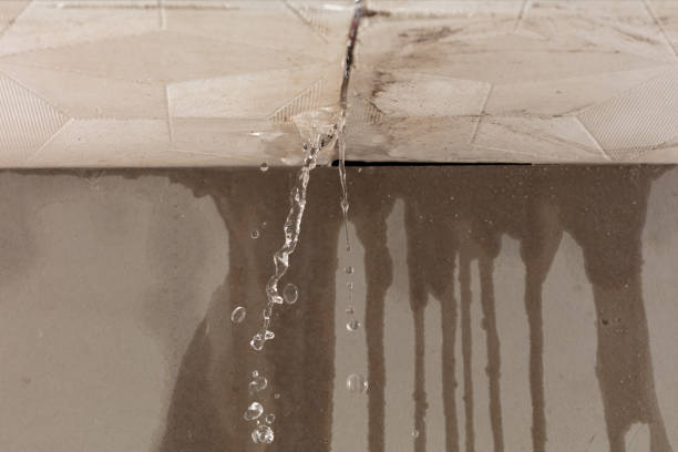 Professional Flood Damage Cleanup technician working in Carrollton, KY